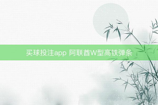 买球投注app 阿联酋W型高铁弹条