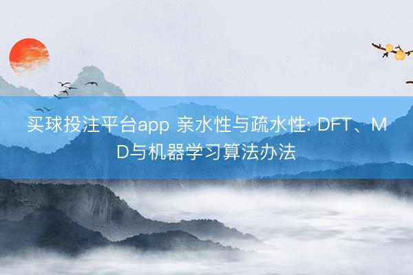 买球投注平台app 亲水性与疏水性: DFT、MD与机器学习算法办法