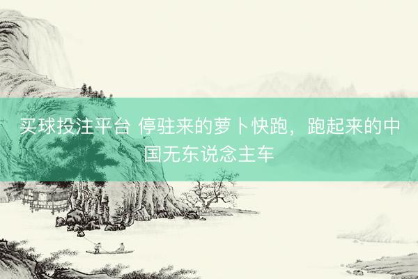 买球投注平台 停驻来的萝卜快跑，跑起来的中国无东说念主车