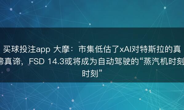 买球投注app 大摩：市集低估了xAI对特斯拉的真谛真谛，FSD 14.3或将成为自动驾驶的“蒸汽机时刻”