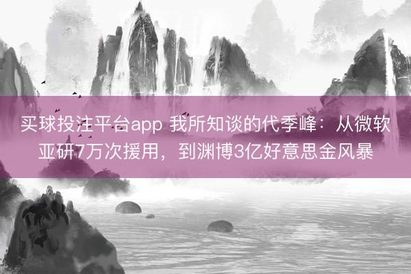 买球投注平台app 我所知谈的代季峰：从微软亚研7万次援用，到渊博3亿好意思金风暴