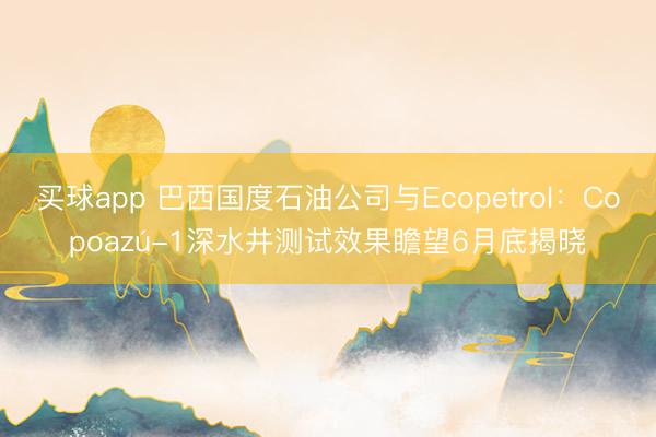 买球app 巴西国度石油公司与Ecopetrol：Copoazú-1深水井测试效果瞻望6月底揭晓